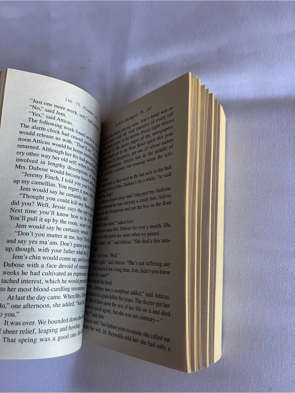 Harper To Kill a Mockingbird Paperback Book - Black & Cream